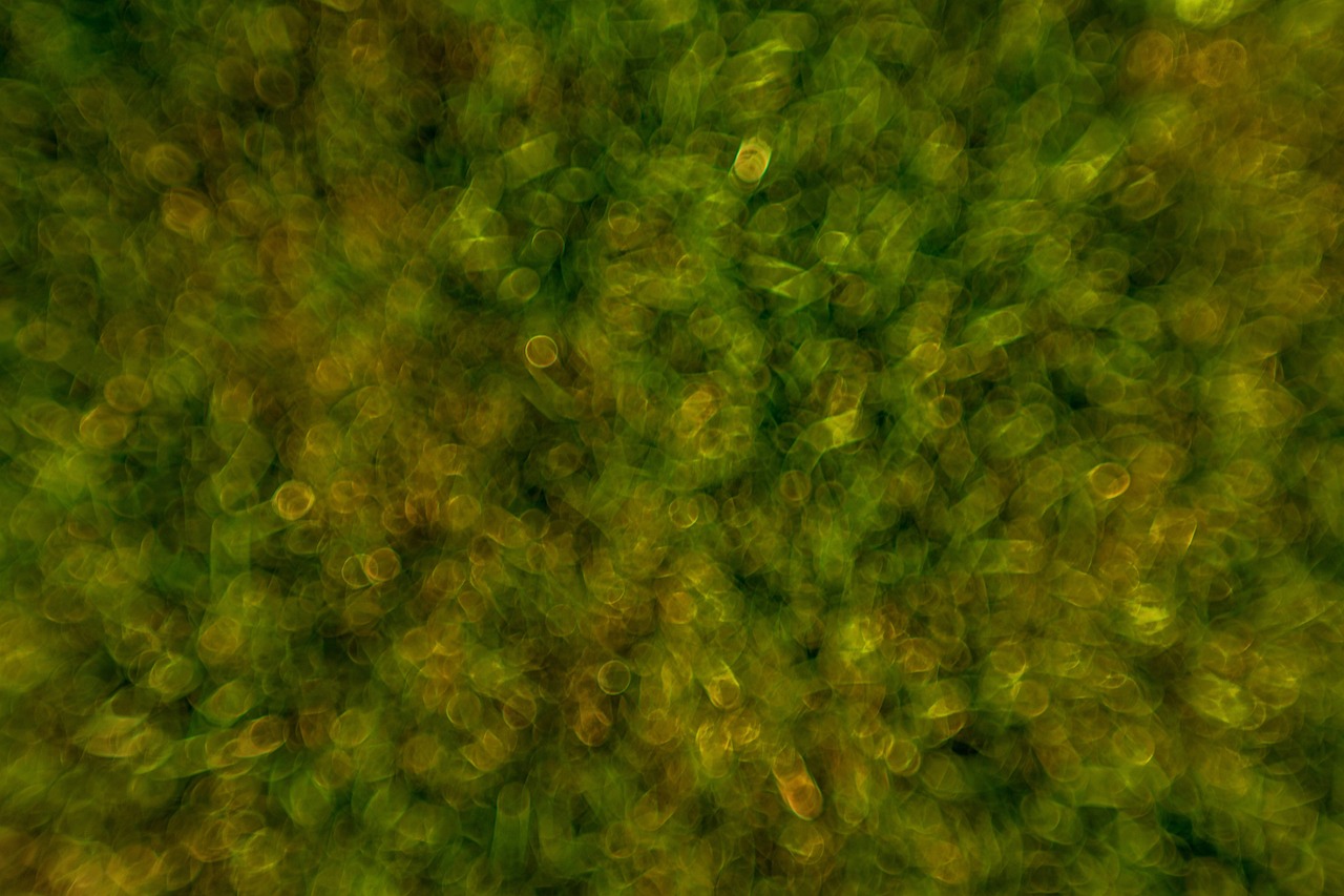 gut microbiome