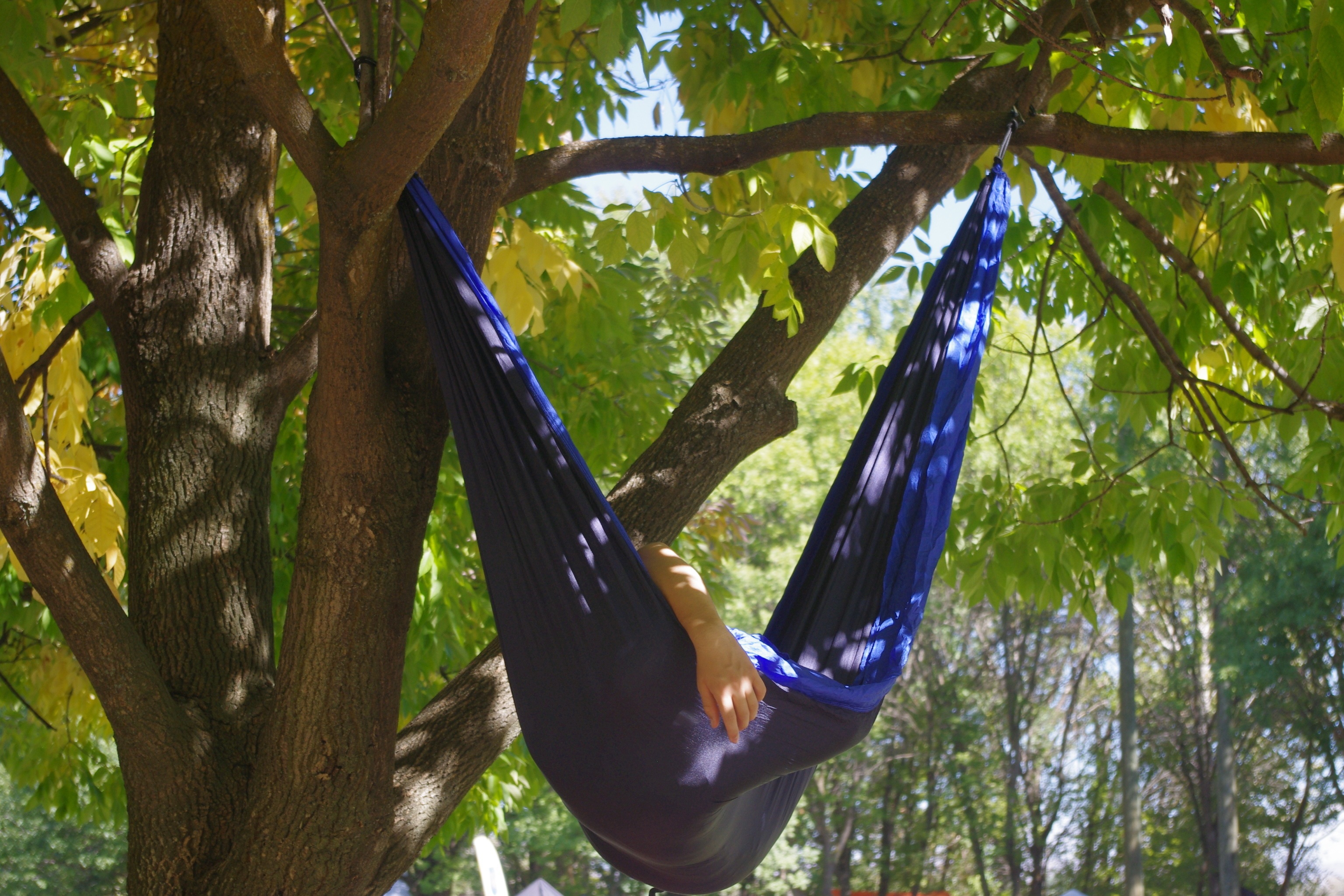 person's arm hanging out of blue hammock hung in a tree