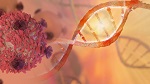 612-cancercells