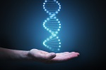 652-genes