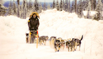 702-iditarod