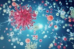 750-viruses