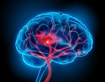 786-brain