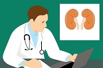 810-kidney