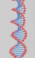 819-DNA