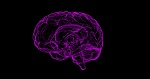 860-brain