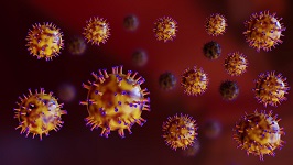 861-stealthvirus