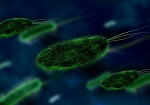 901 Bacteria as a GPS Beacon gut bacteria
