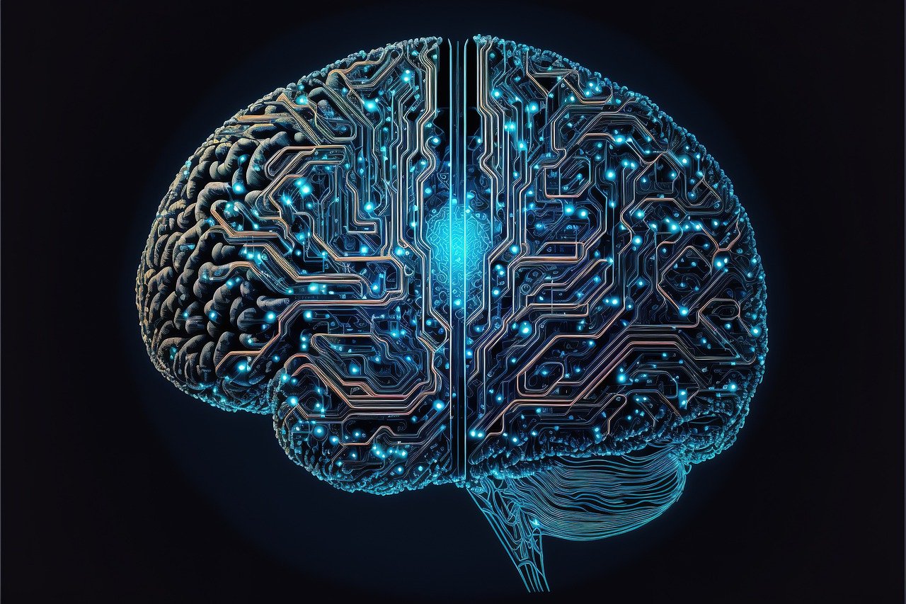 907 Brain atlas map of brain