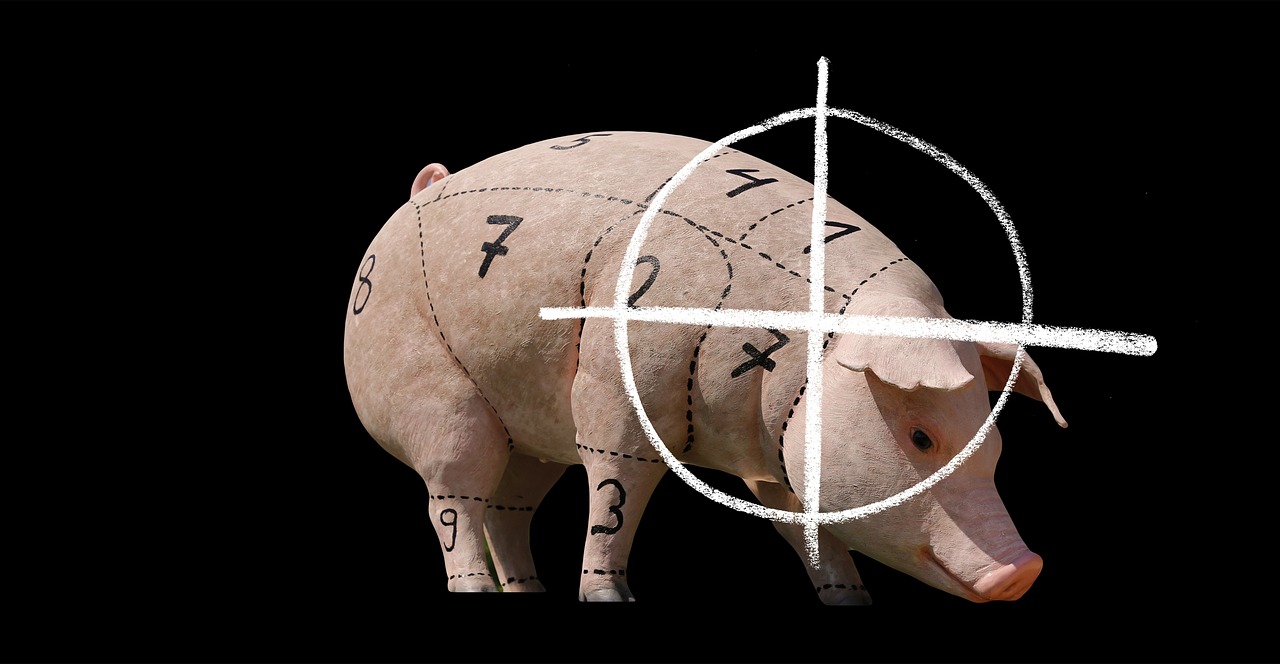 graphic of marked up pig