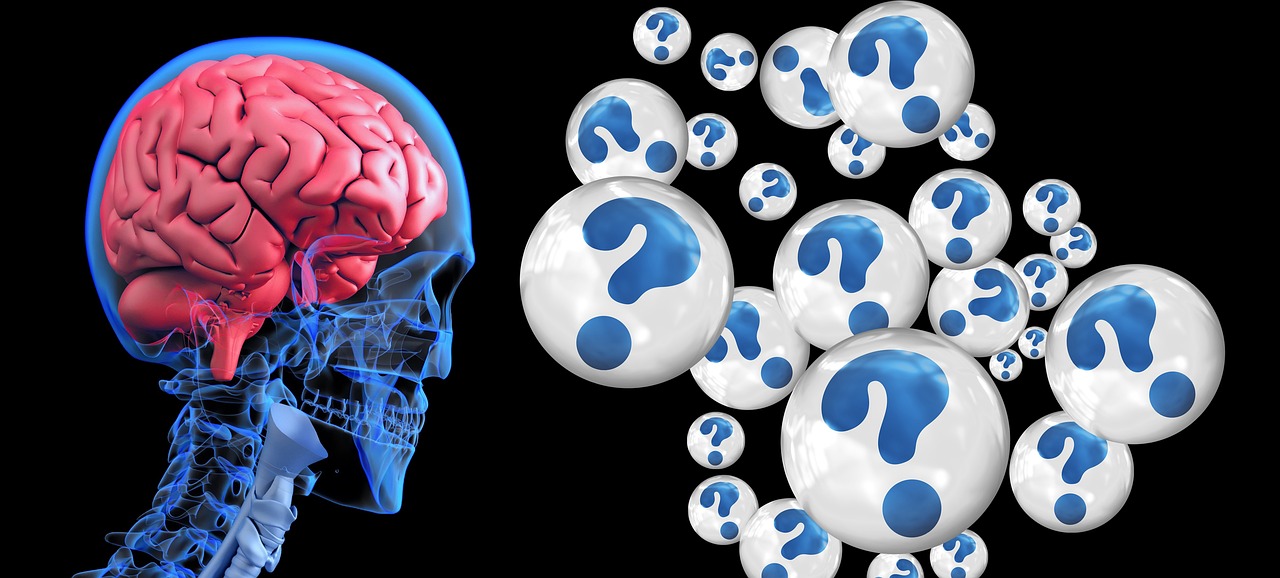 978 How Human brains differ from Primates human brain in skull illustration