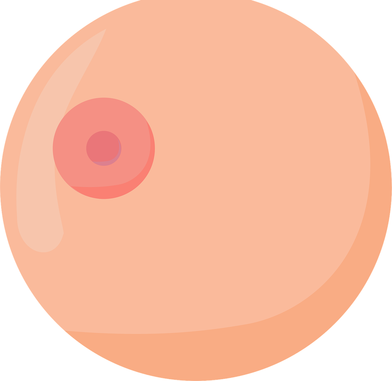 983 Screening when Breasts are Dense illustration of woman's breast